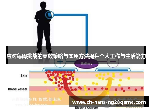 应对每周挑战的高效策略与实用方法提升个人工作与生活能力