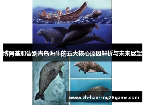 博阿基耶告别青岛海牛的五大核心原因解析与未来展望