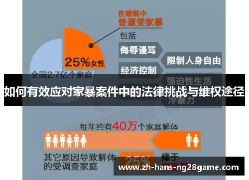 如何有效应对家暴案件中的法律挑战与维权途径