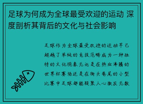 足球为何成为全球最受欢迎的运动 深度剖析其背后的文化与社会影响
